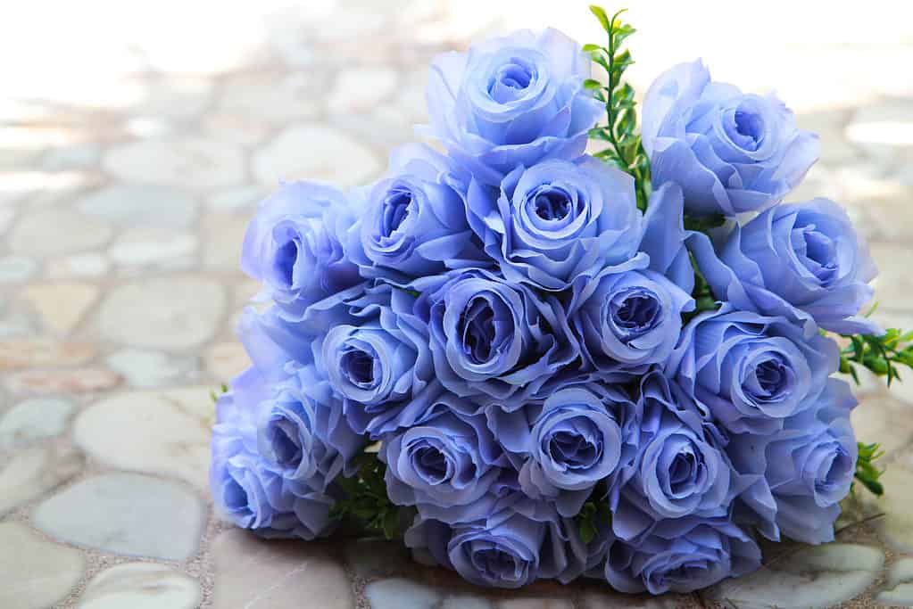 Un mazzo di rose azzurre adagiate su un terreno lastricato in pietra