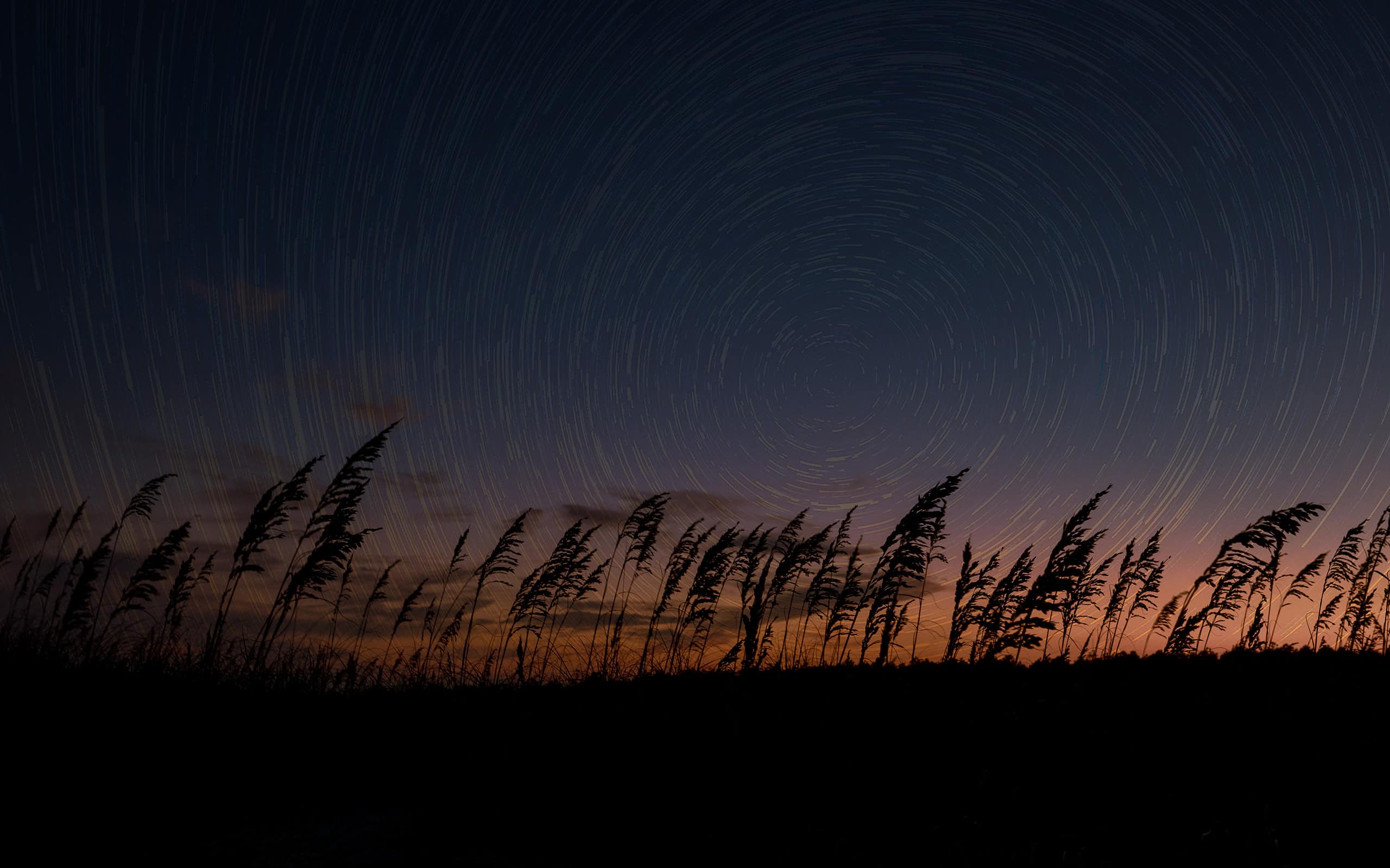 Tramonto sulla spiaggia con tracce di stelle