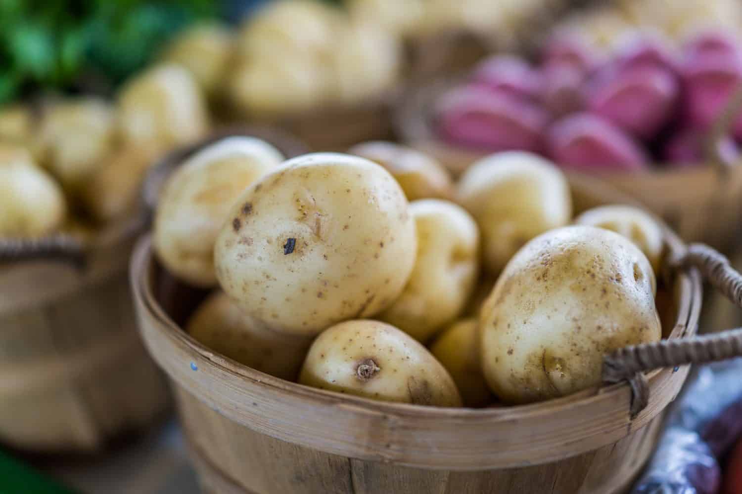 Macro primo piano delle patate dorate bianche in un cestino nel mercato degli agricoltori che mostra il dettaglio e la struttura