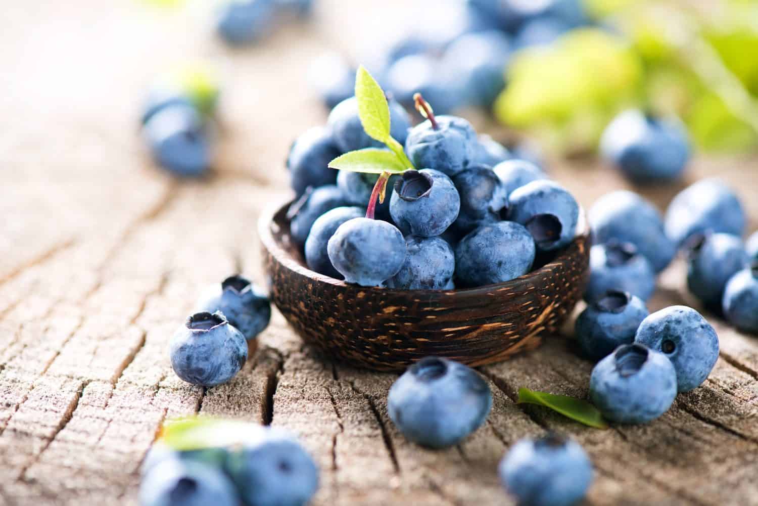 Mirtilli appena raccolti in una ciotola di legno.  Mirtilli succosi e freschi con foglie verdi sul tavolo rustico.  Mirtillo su fondo di legno.  Antiossidante del mirtillo.  Concetto per un'alimentazione e una nutrizione sane