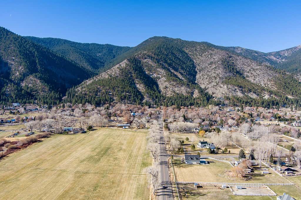 Veduta aerea dell'area di Genova Nevada nella Carson Valley con alberi sterili, terreni agricoli e ranch.