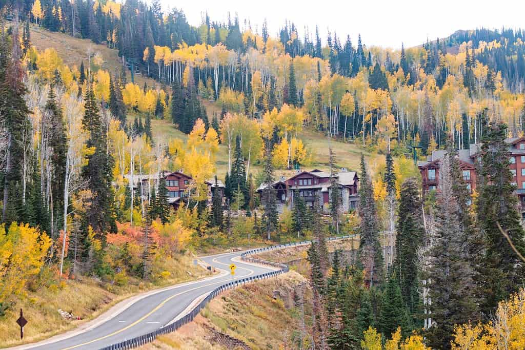 Guida fino al Deer Valley Resort nello Utah in una bellissima giornata autunnale dorata.