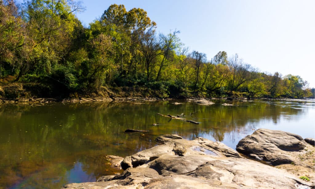 Il fiume più lungo della Carolina del Nord: il fiume Neuse