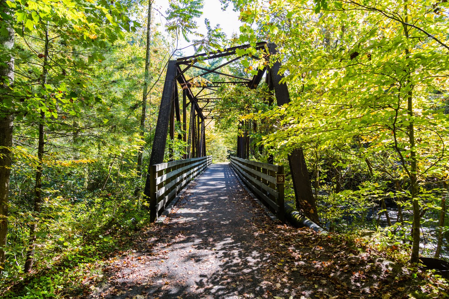 Il Virginia Creeper Trail, il percorso ciclabile più popolare della regione.  Abingdon, Virginia, Stati Uniti