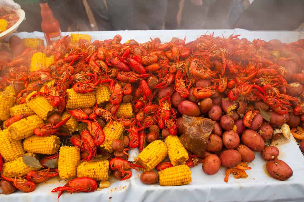 L'aragosta bolle.  Bollire i gamberi della Louisiana, New Orleans.  Aragoste, gamberetti, aragoste, frutti di mare, pannocchie, salsicce, patate bollite con condimenti ed erbe Cajun.  Cucina classica cajun o creola.