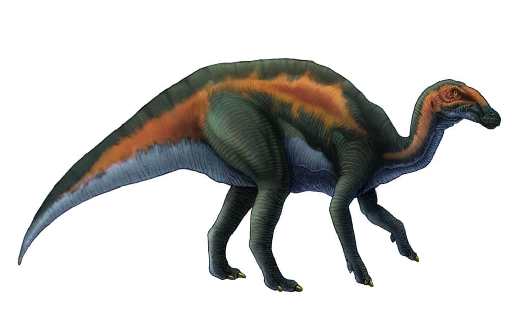 adrosauro