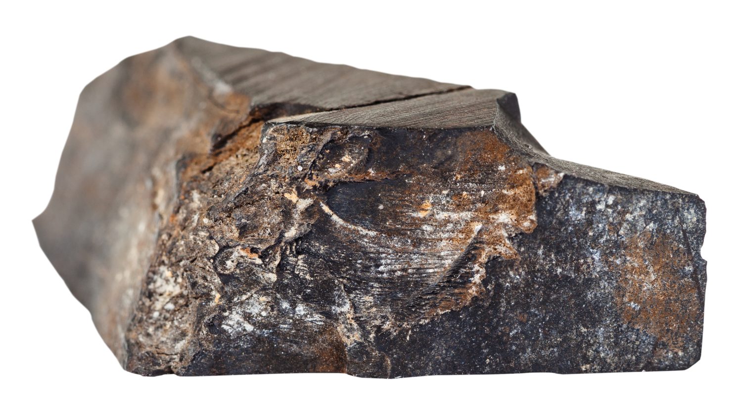 riprese macro di pietra minerale naturale - pietra preziosa Jet grezza (lignite, carbone marrone) isolata su sfondo bianco