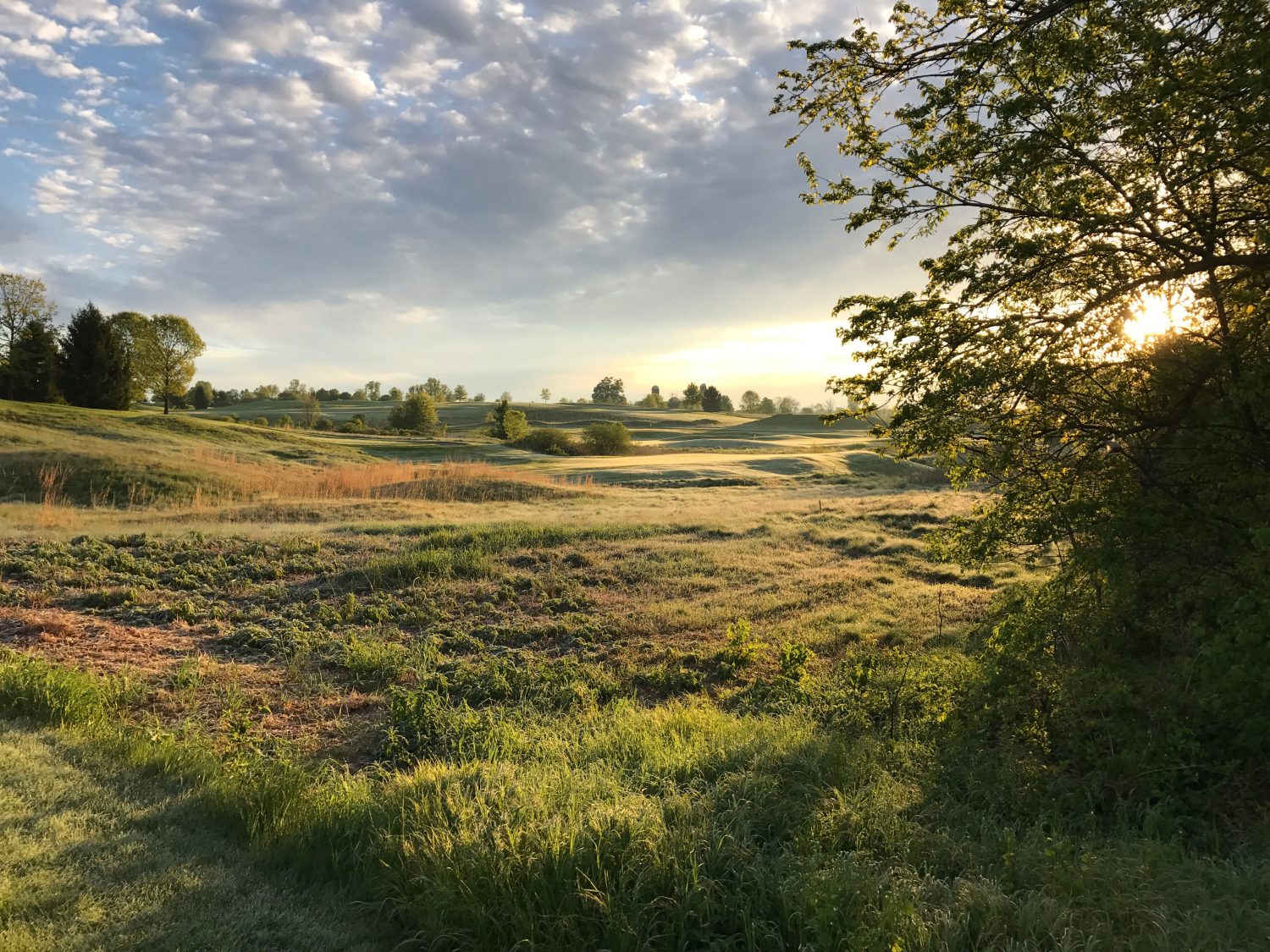 Vista panoramica mattutina di un campo da golf tra le dolci colline della contea di Chester, Pennsylvania.  Fattoria in lontananza