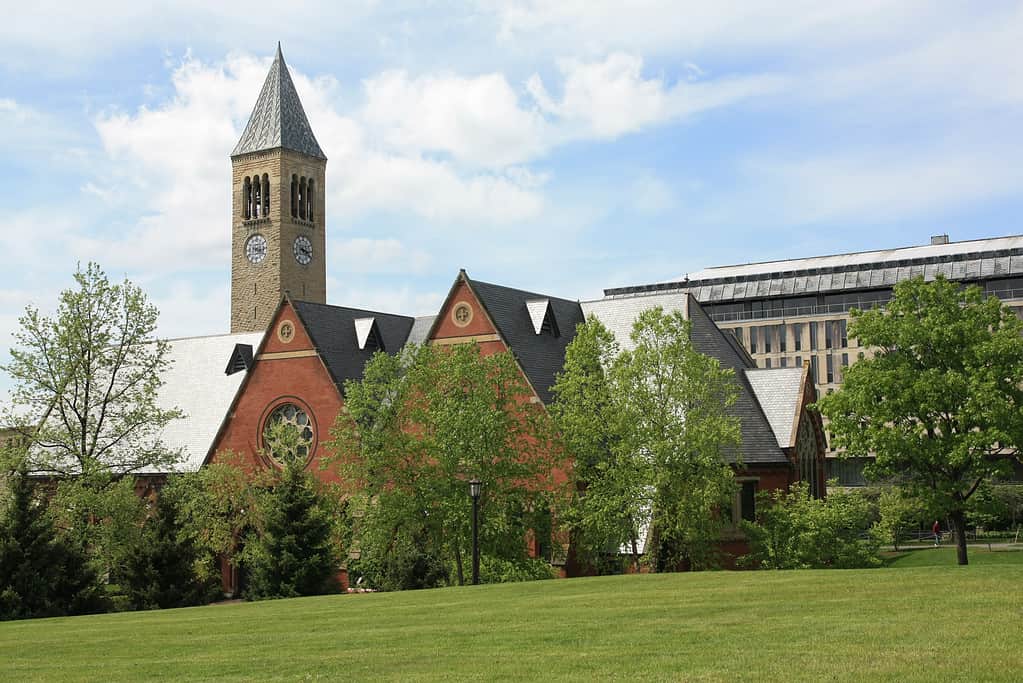 Università Cornell