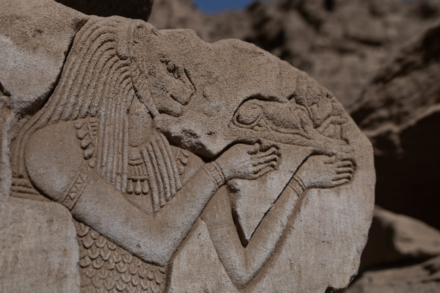 L'antica dea guerriera egiziana Sekhmet sul muro del tempio di Dendera.  Egitto.