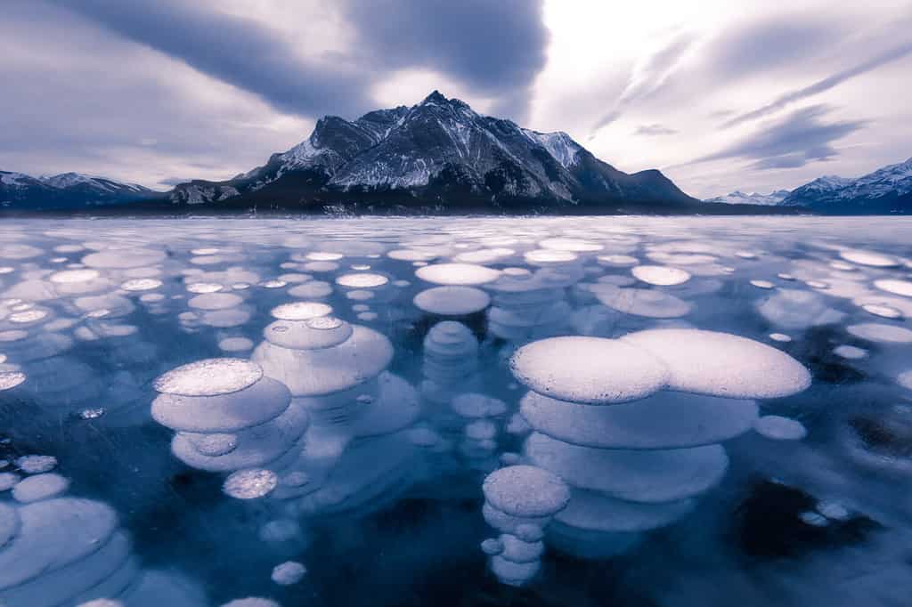 Bolle di formazione del ghiaccio invernale del lago Abraham
