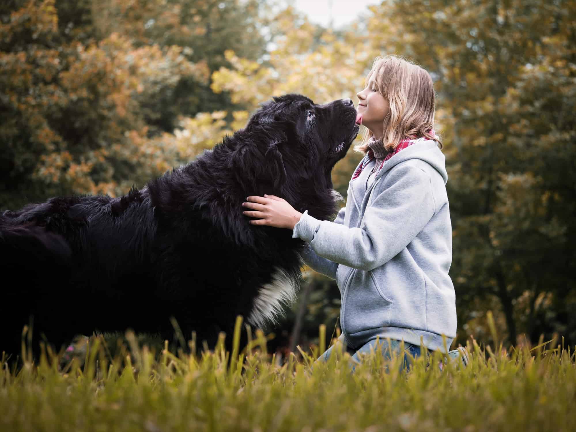 Ragazza giovane con un cane enorme di razza Terranova