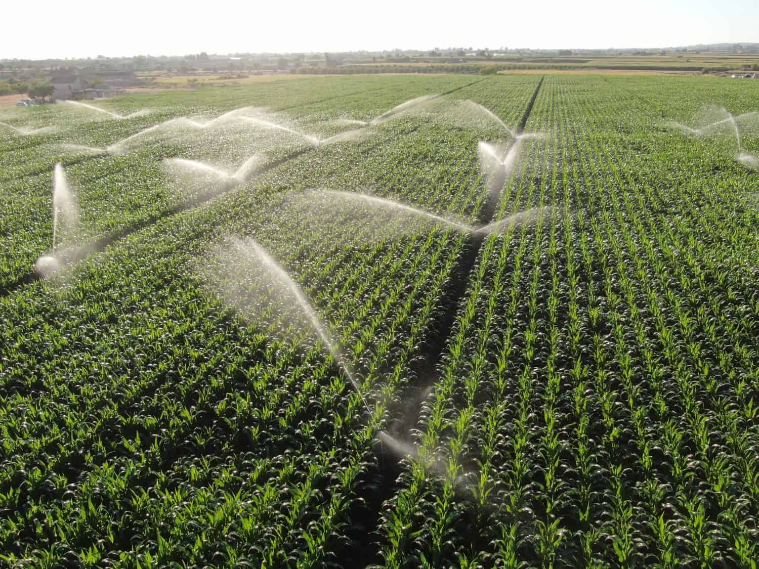 Foto aerea dal drone per l'irrigazione a pioggia