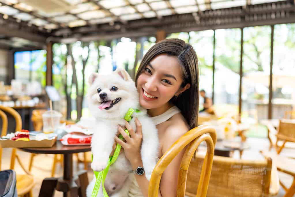 Ritratto di donna asiatica che gioca con il cane Pomerania al ristorante che accetta animali domestici.