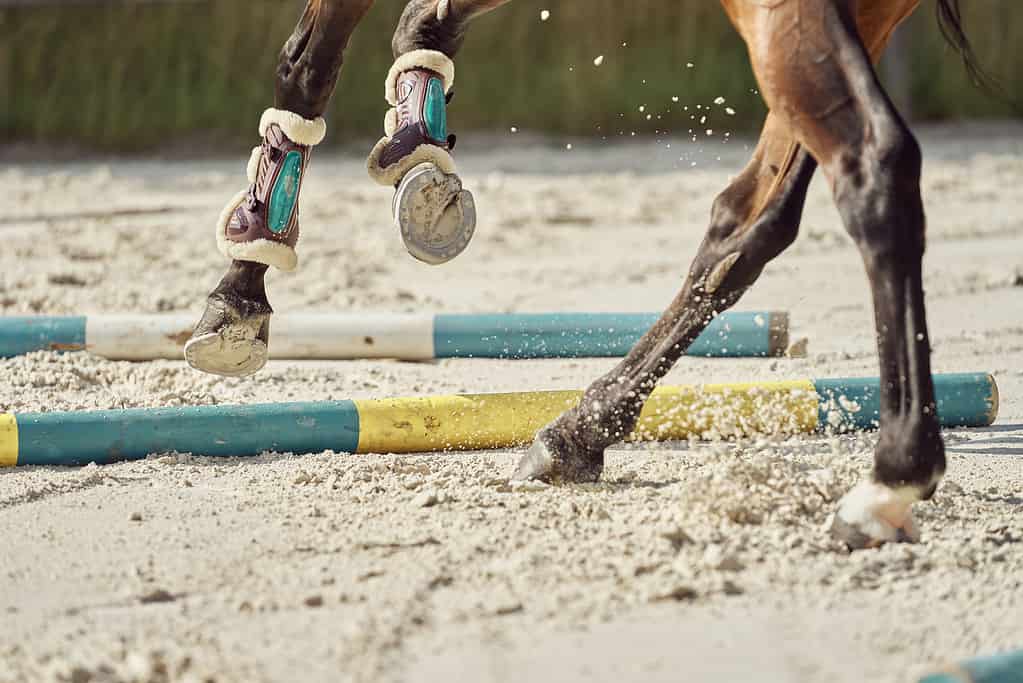 Primo piano di zoccoli di cavallo durante una competizione