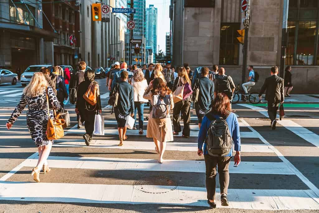 Folla di persone irriconoscibili che attraversano la strada sul semaforo zebrato nella città di Toronto all'ora di punta - Stile di vita in una grande città del Nord America