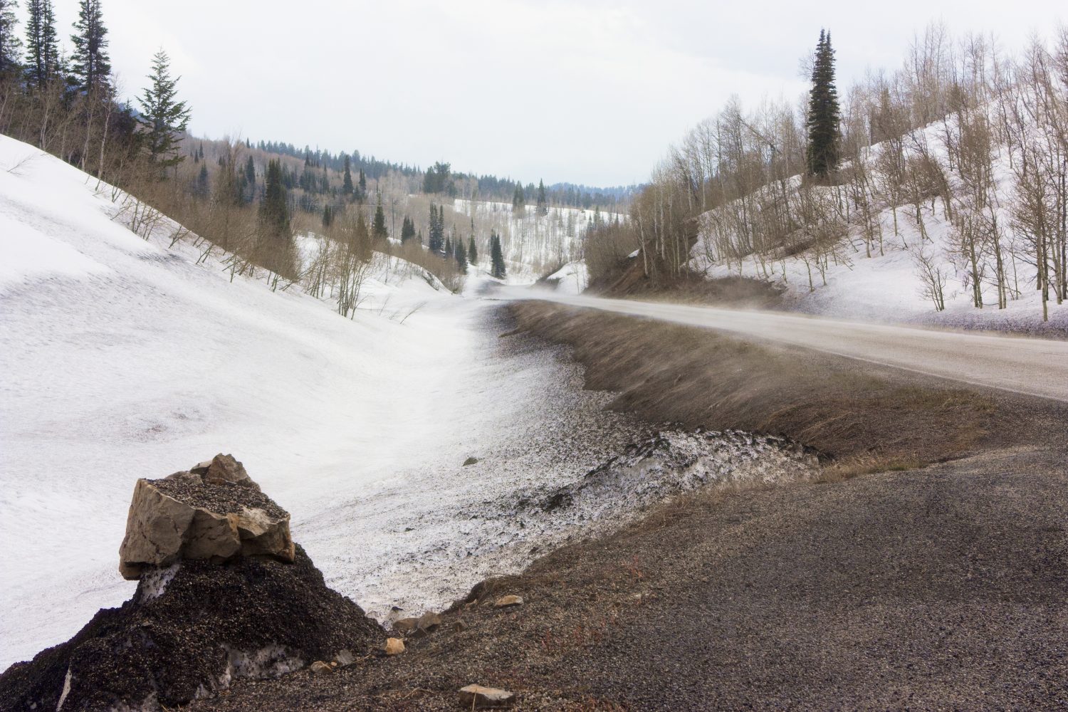 Mink Creek Road vicino a Preston Idaho - Bear River Range, foresta nazionale di Caribou Targhee