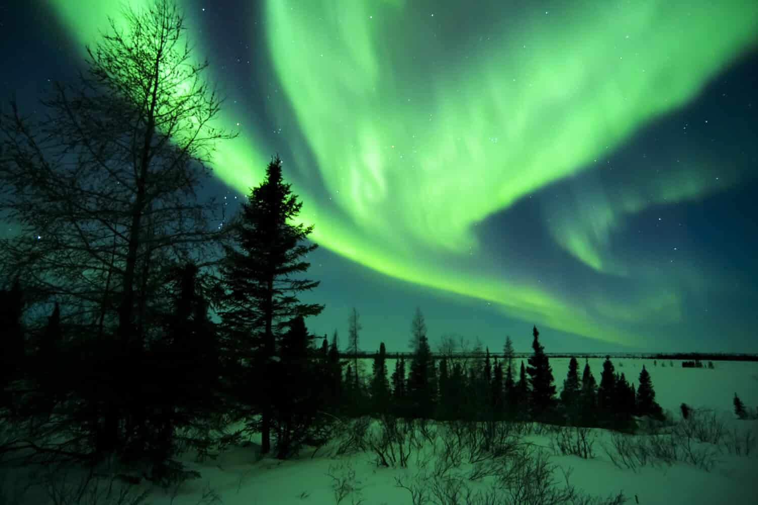 Cielo notturno illuminato con aurora boreale, luci settentrionali, parco nazionale Wapusk, Manitoba, Canada.