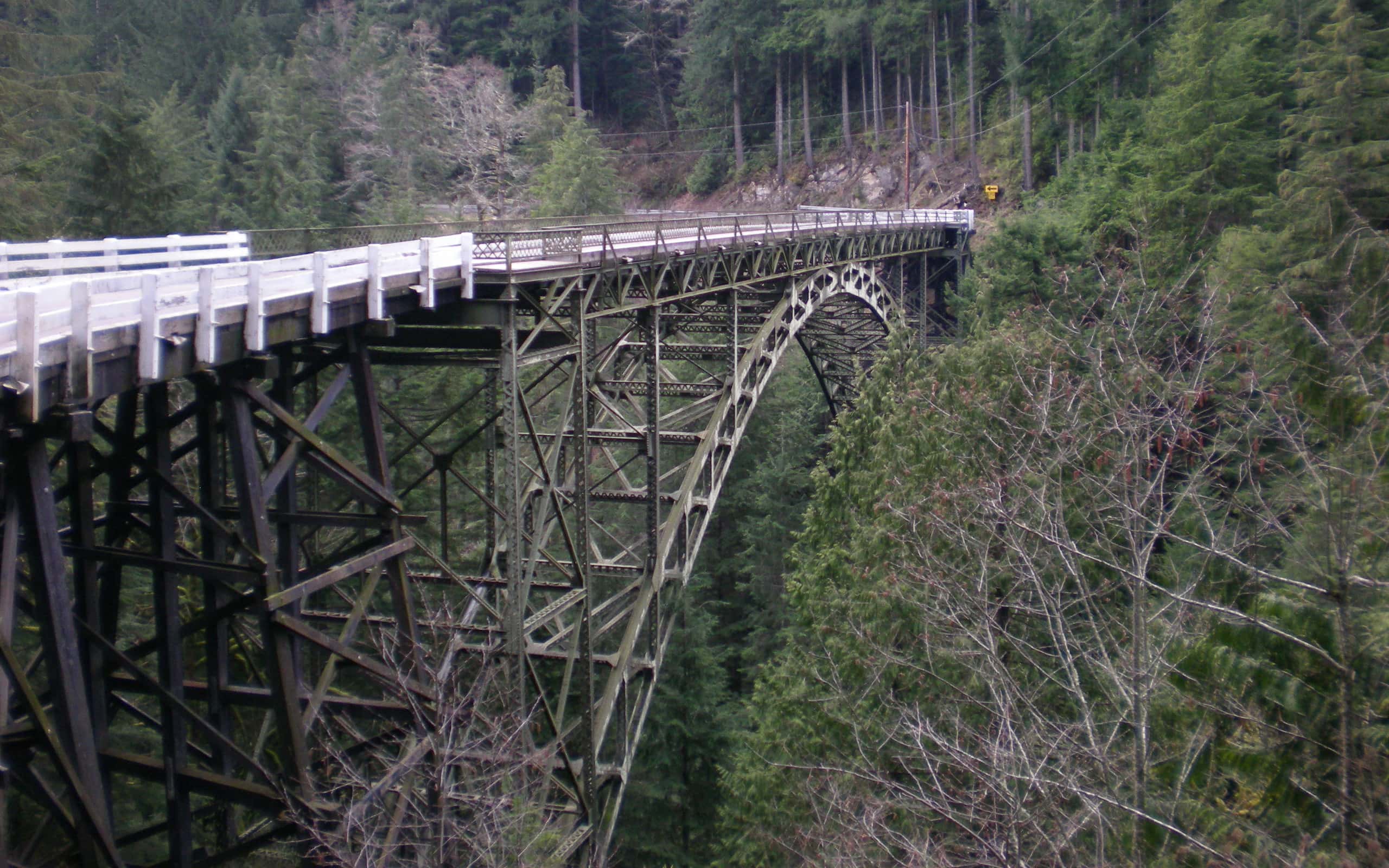 I 5 ponti più alti di Washington ti faranno girare la testa
