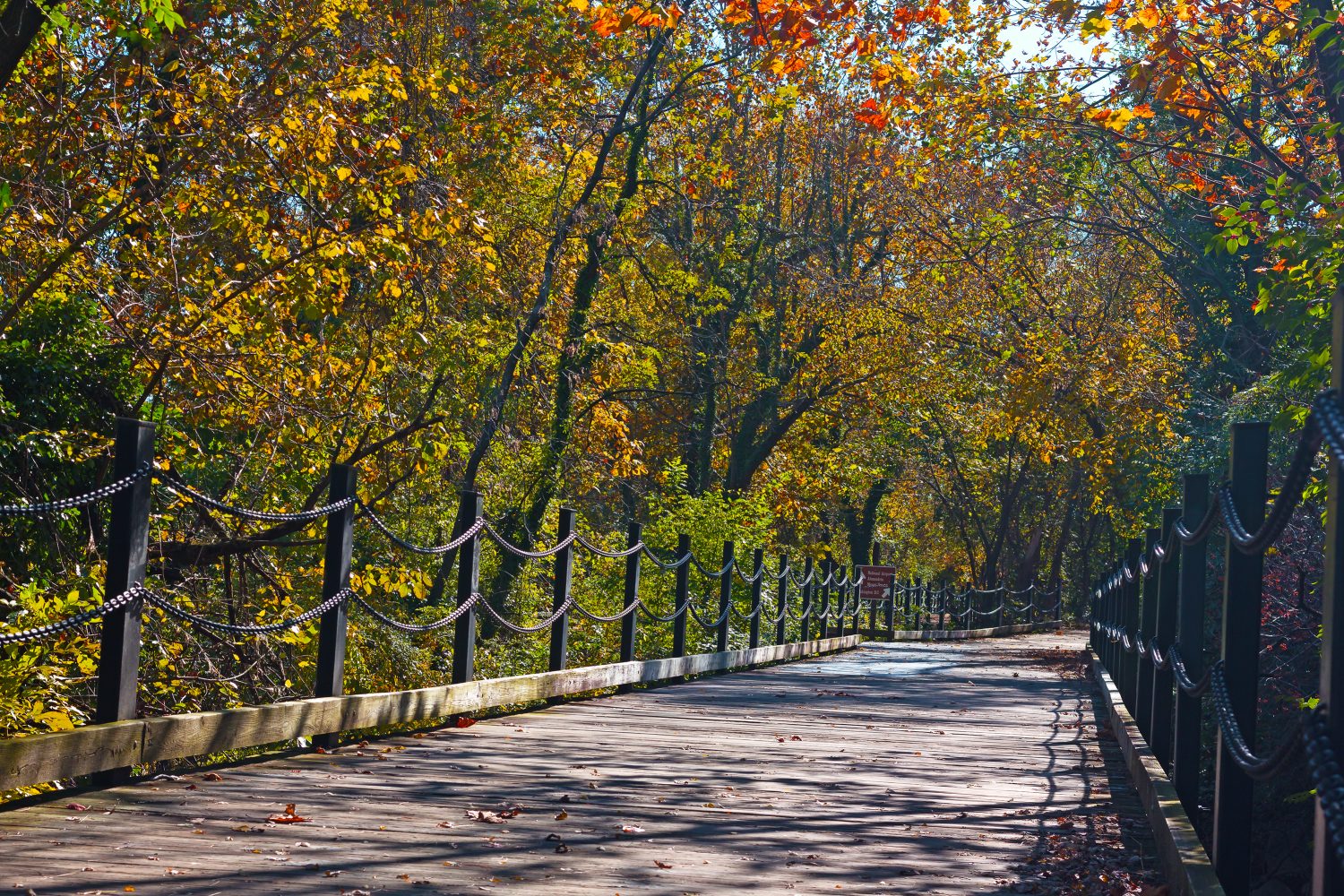 Un percorso pedonale e ciclabile lungo il fiume Potomac ad Arlington, Virginia, Stati Uniti.  Sentiero tra alberi decidui in una mattinata soleggiata in autunno.