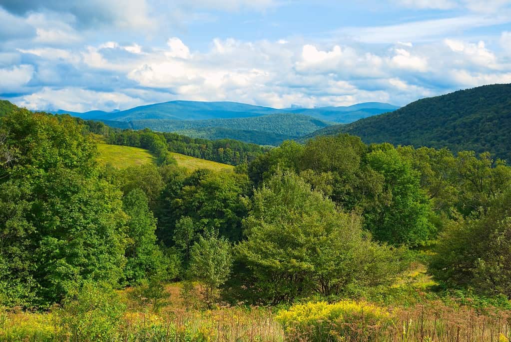 Vista sulle montagne di Catskills