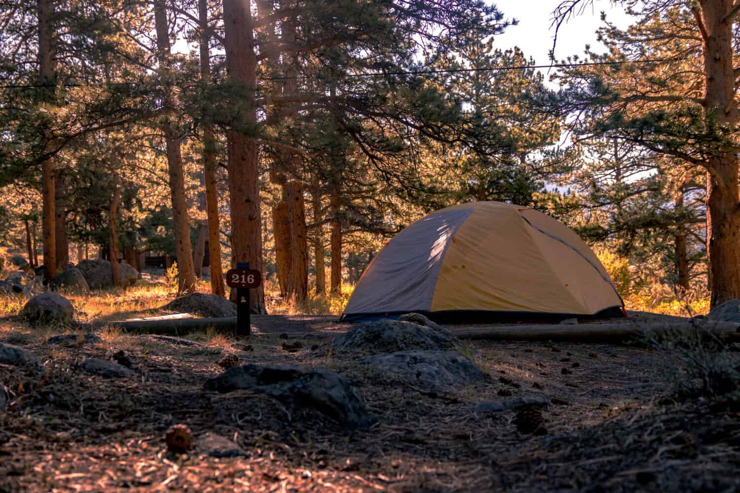Calda alba al campeggio del Parco Nazionale delle Montagne Rocciose