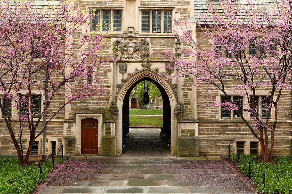 Princeton, New Jersey - aprile 2016: La Princeton University è un'università privata della Ivy League nel New Jersey, USA.