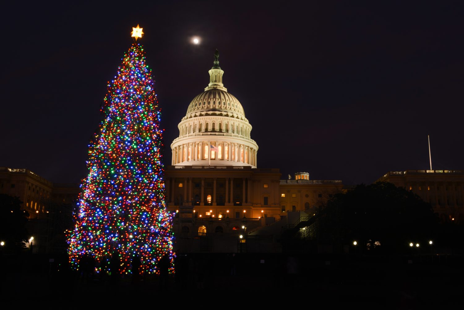 Campidoglio degli Stati Uniti e l'albero di Natale di notte - Washington DC, Stati Uniti
