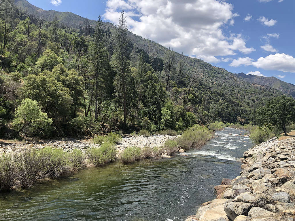 Fiume Merced, Parco nazionale Yosemite - California - Bellezza della California settentrionale