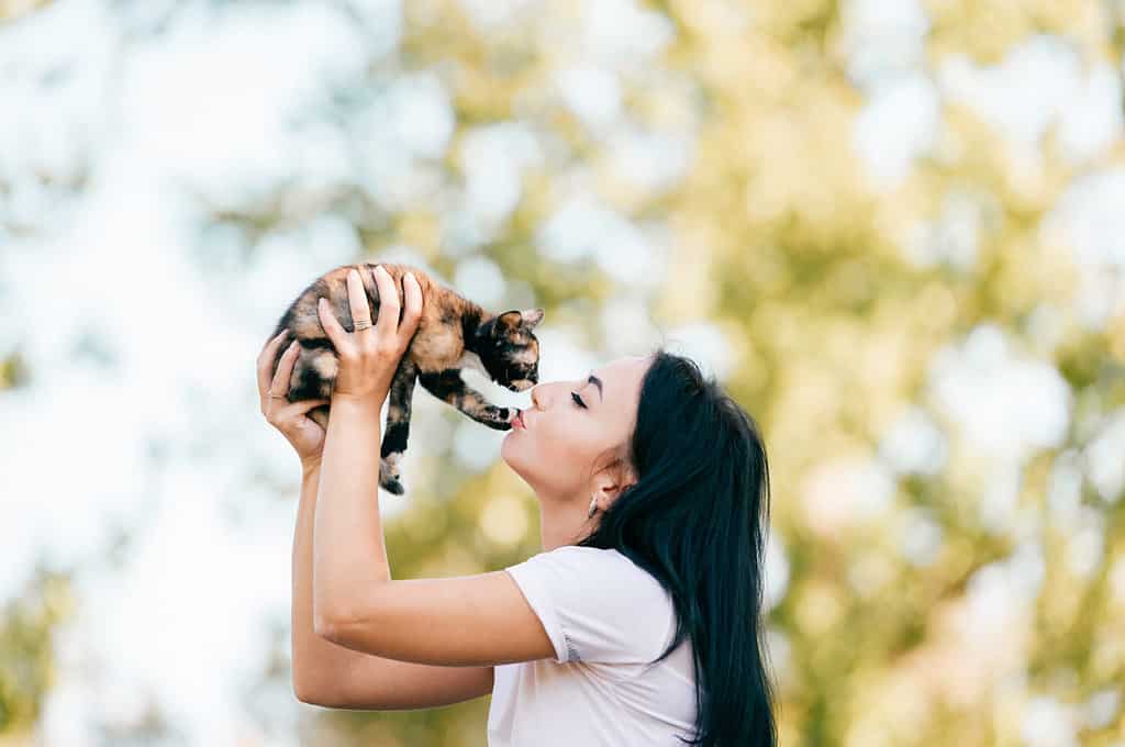 la bella ragazza si siede lateralmente e bacia il gattino tra le mani.  Il piccolo gatto non dà alla sua padrona un bacio