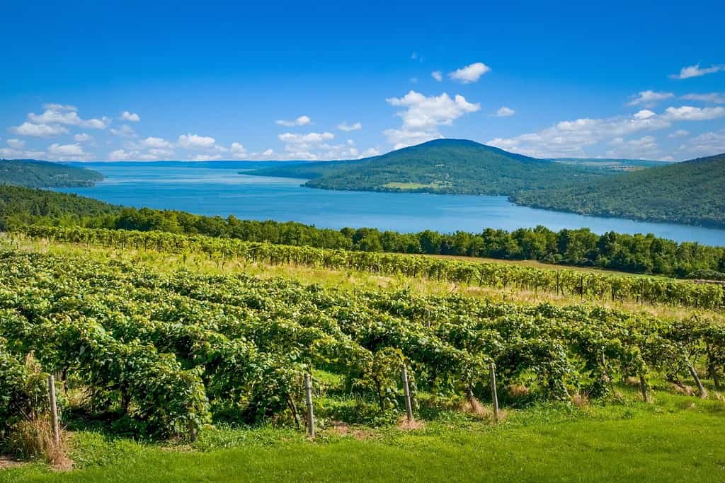 Lago Canandaigua nella regione dei Finger Lakes nello stato di New Yrok negli Stati Uniti