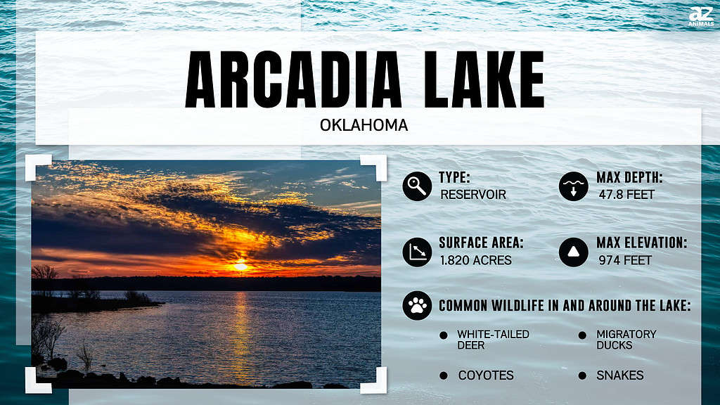 Quanto è profondo il lago Arcadia e cosa possono fare i visitatori lì?
