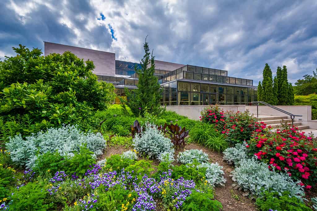 Giardini fuori dal Museo Nazionale dell'Aria e dello Spazio a Washington, DC.
