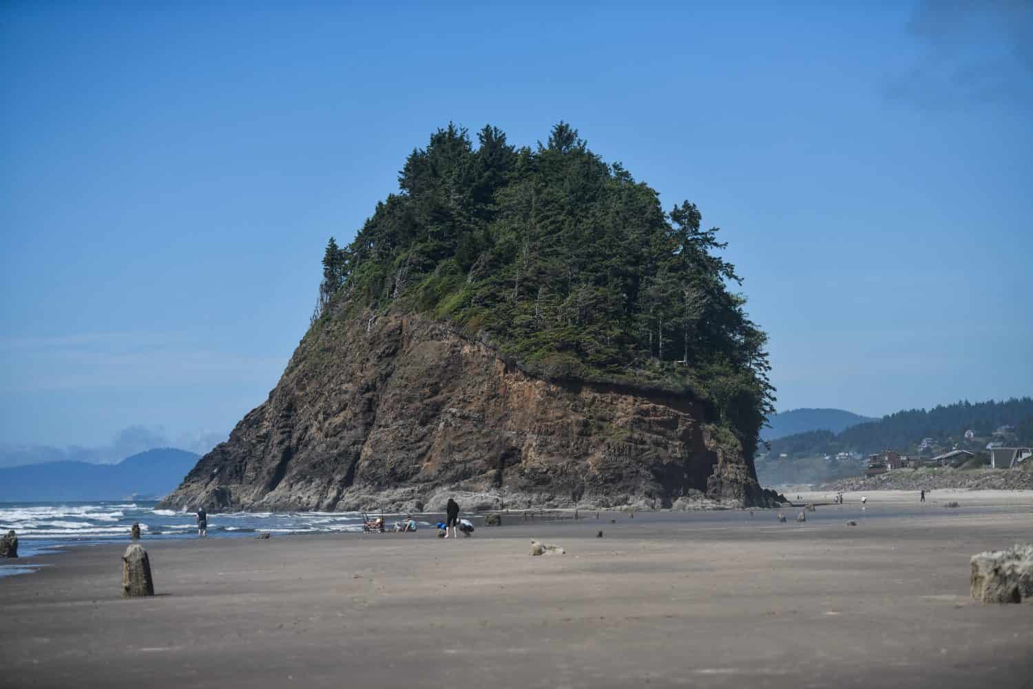 Spiaggia della foresta fantasma di Newskovin nell'Oregon, USA