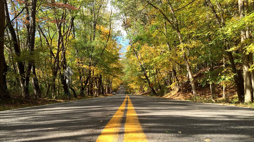 Una strada di campagna a due corsie in Ohio durante l'autunno quando le foglie passano dal verde al giallo, all'arancione e al marrone.