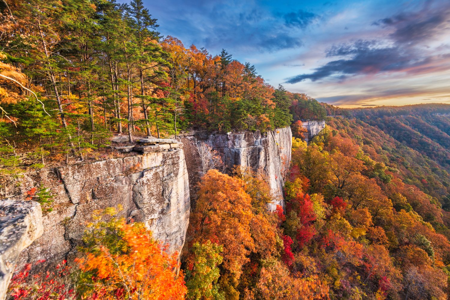 New River Gorge, West Virginia, USA paesaggio autunnale mattutino all'Endless Wall.