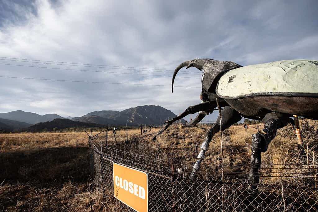 Herkimer lo scarabeo più grande del mondo, Colorado Springs, CO