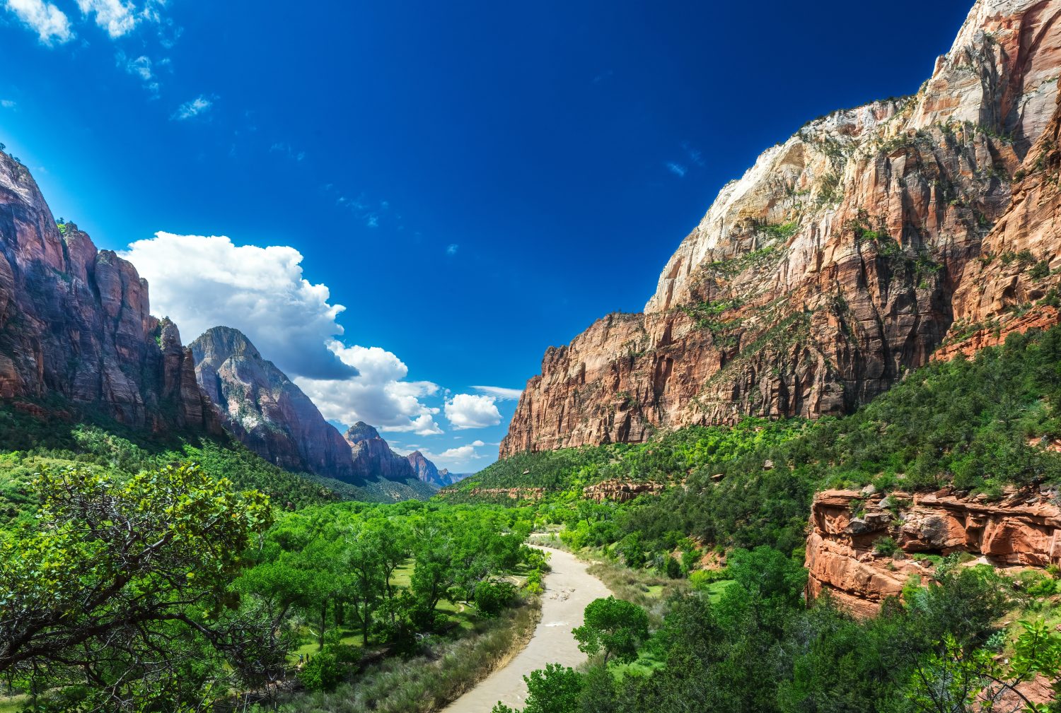 Parco nazionale di Zion, Utah, Stati Uniti.  05132023: zion stretto nel parco nazionale di Zion, Utah, Stati Uniti.