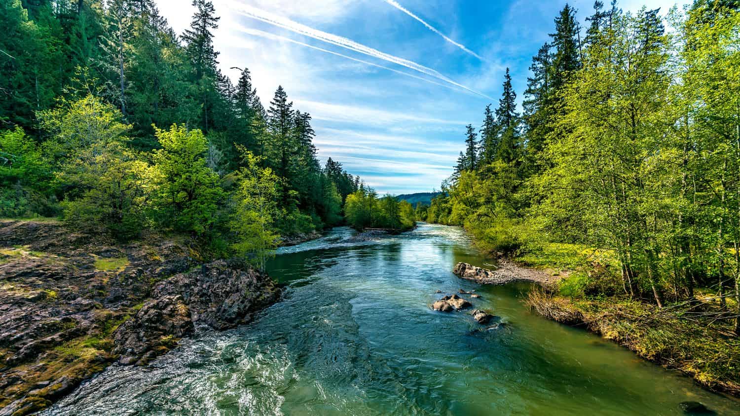 Un fiume blu brillante che scorre attraverso una foresta dell'Oregon mentre il sole inizia a tramontare in un parco nascosto lungo la strada panoramica nell'Oregon meridionale, al confine settentrionale della California.