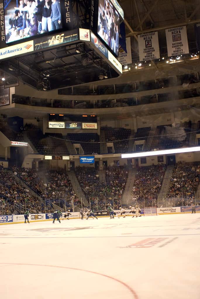 Providence Bruins vs Connecticut Whale nell'azione della American Hockey League al XL Center di Hartford, nel Connecticut.
