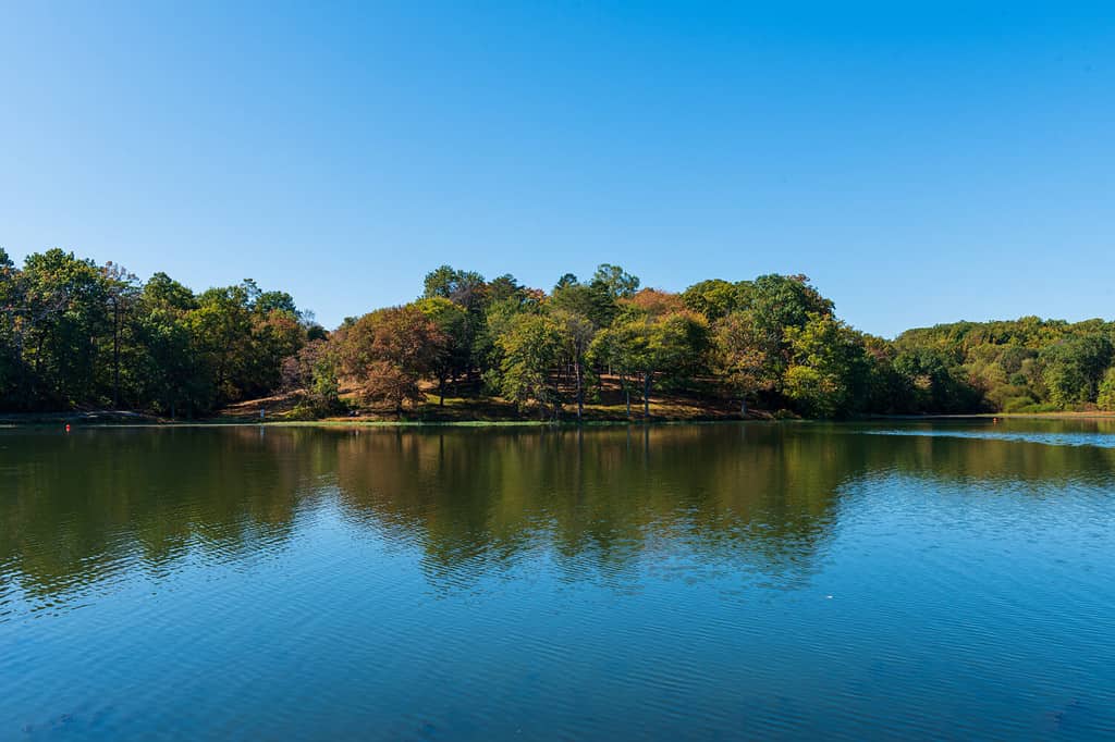 Gli alberi cambiano colore nel parco del lago Fairfax con l'inizio dell'autunno.