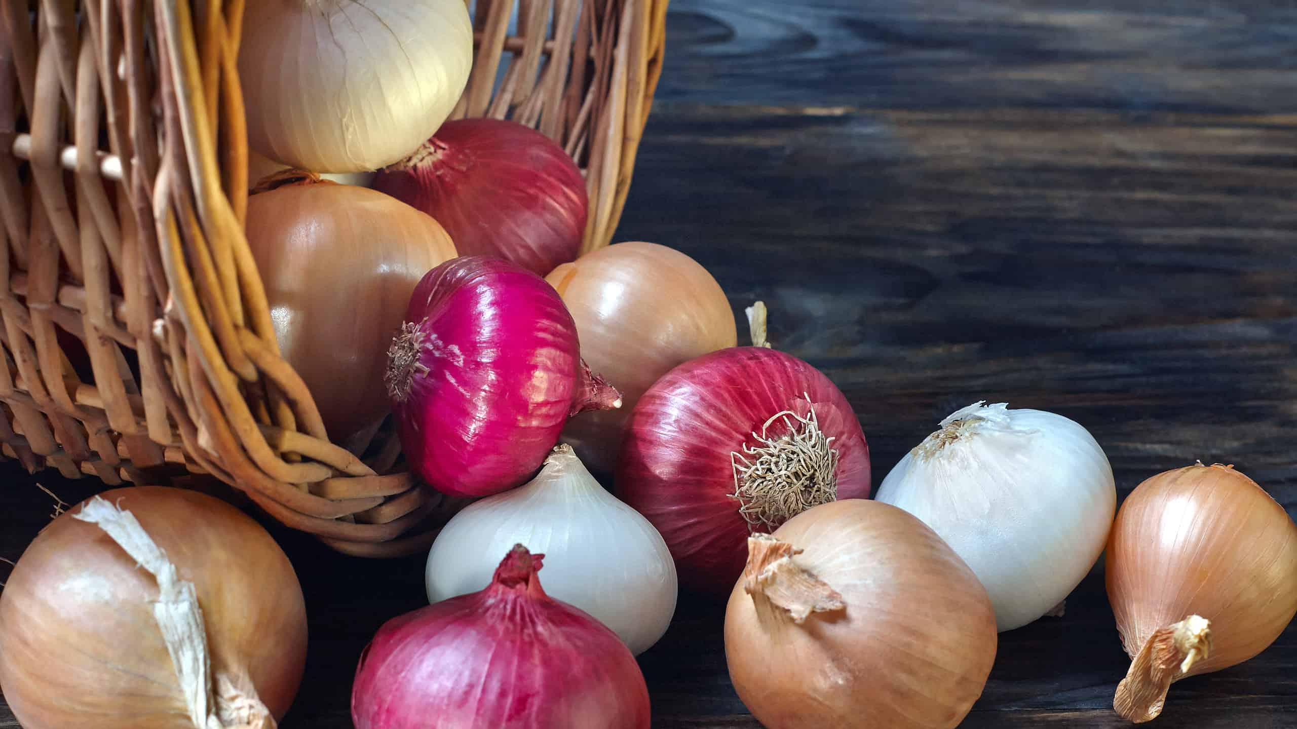 Le cipolle di varie varietà vengono versate dal cestino.  Uno sfondo scuro, primo piano.