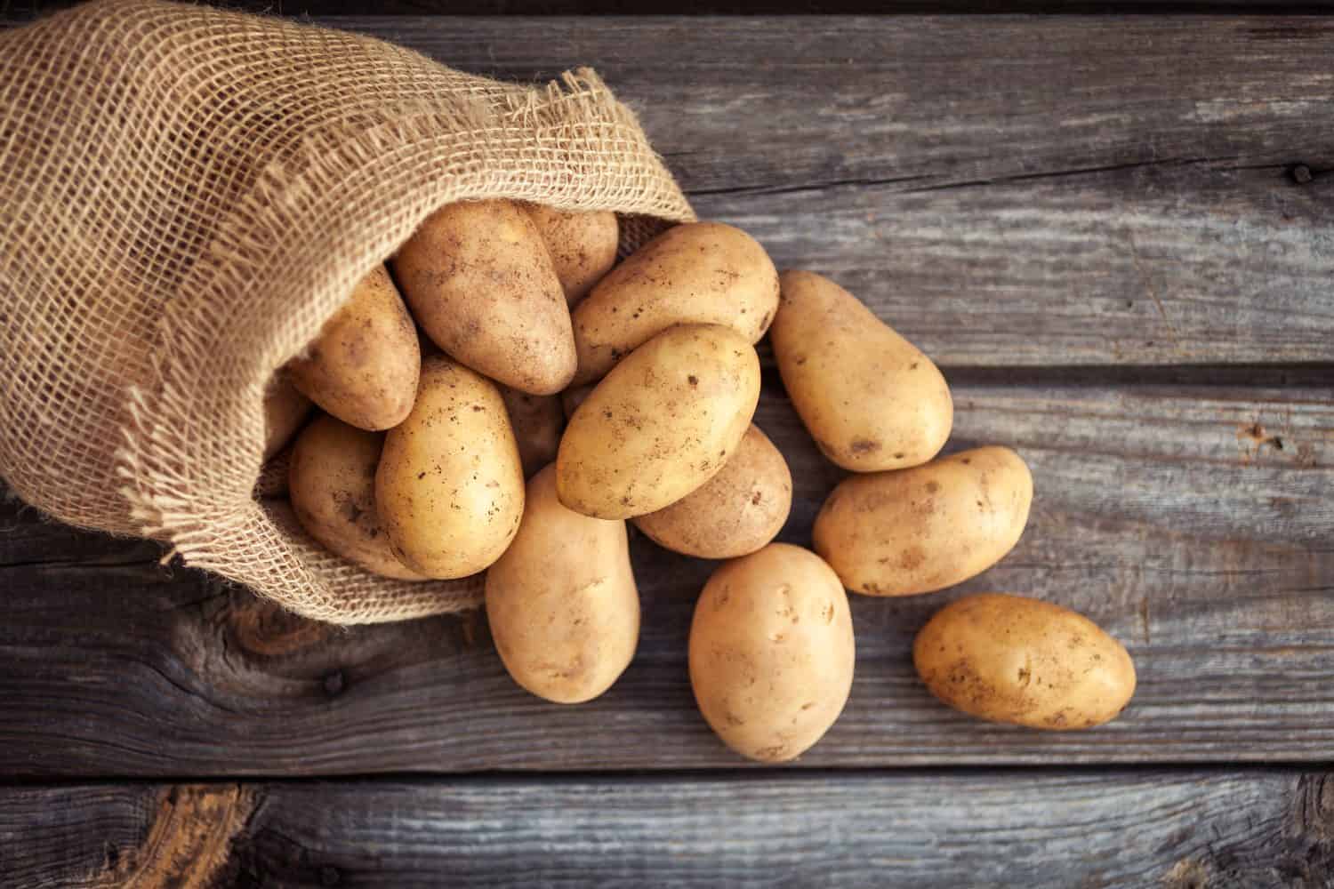 Cibo a base di patate crude.  Patate fresche in un vecchio sacco su fondo di legno.  Vista dall'alto