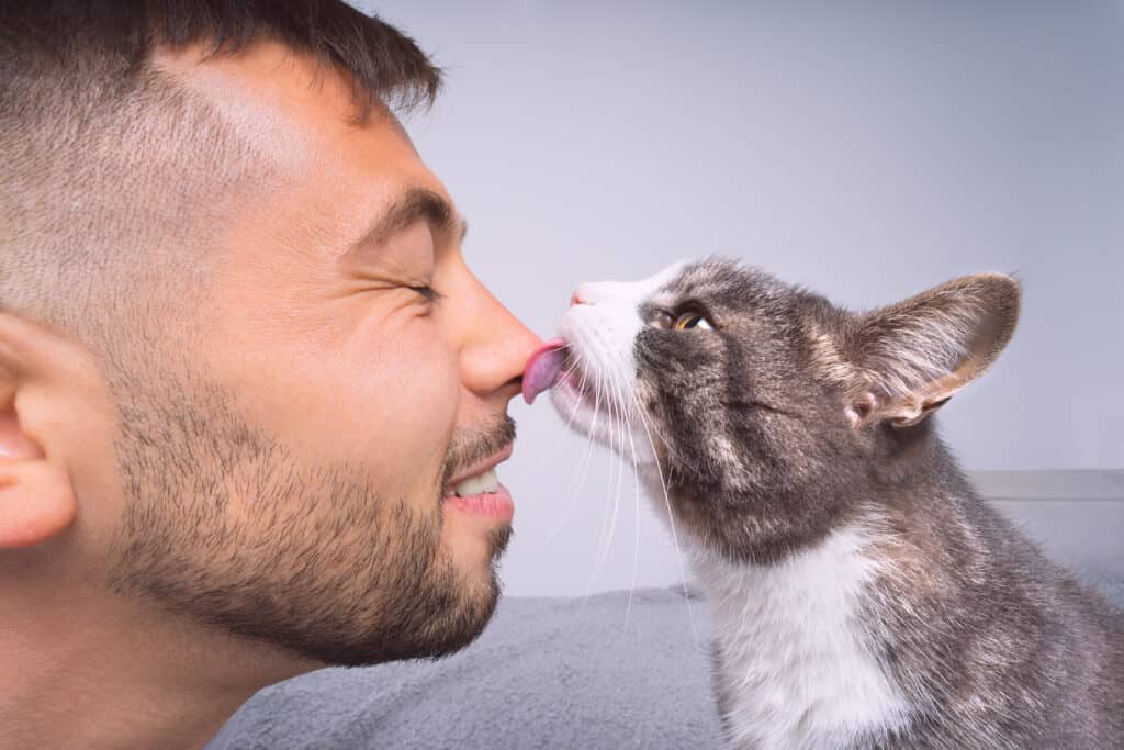 proprietario che lecca il gatto