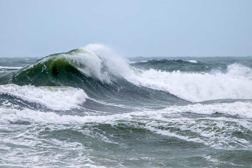 Un'ondata che sta per rompersi durante un Nor'Easter di fine inverno.  Salisbury, Massachusetts.