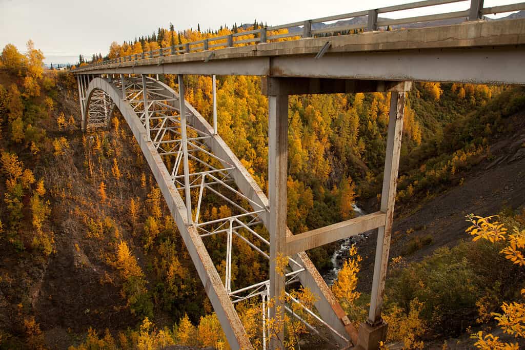 Hurricane Gulch una gola attraversata da un fiume.  Parchi Highway Alaska Stati Uniti