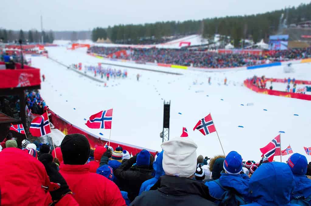 Gruppo di tifosi norvegesi e svedesi che guardano una competizione professionistica di sci nordico - Coppa del mondo nel nord Europa - Immagine concettuale per i giochi olimpici invernali 2018 a Pyeongchang - Corea del Sud