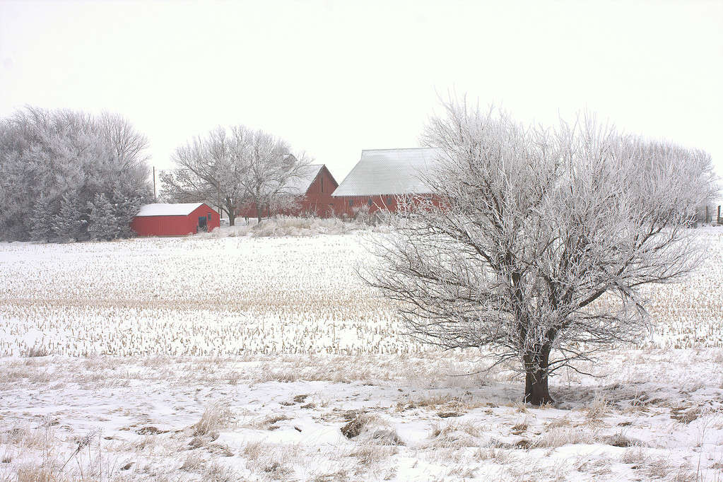 Granaio rosso, neve bianca nell'Iowa