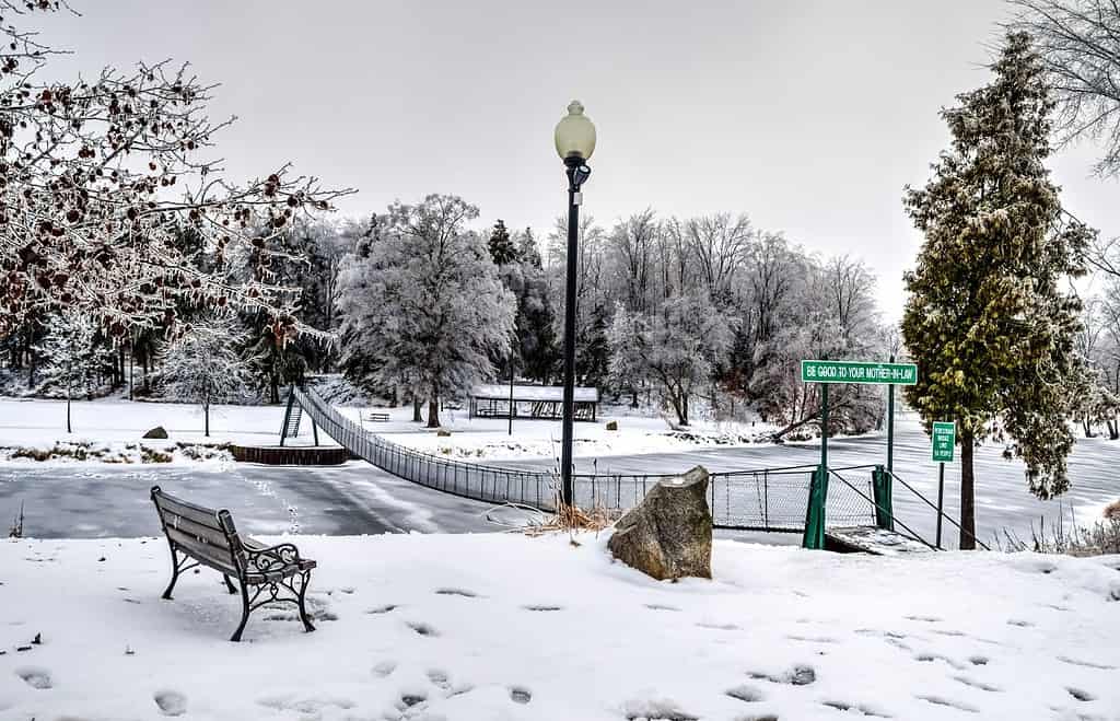 Il paese delle meraviglie invernale.  Parco cittadino trasformato in un paese delle meraviglie invernale dalla nuova neve caduta.  Croswell, Michigan.