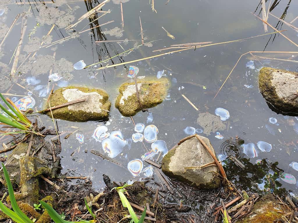 Olio nell'acqua Inquinamento